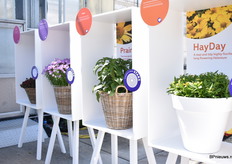 De Wall of Fame van Syngenta.